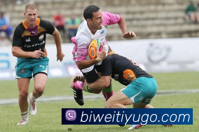 多媒体互动体验